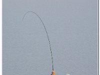 2014-05-20 -OE2A9806